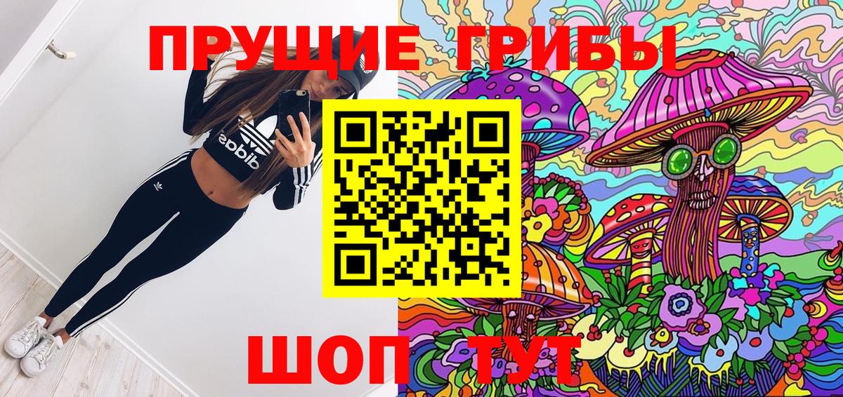 Псилоцибиновые грибы мицелий Димитровград